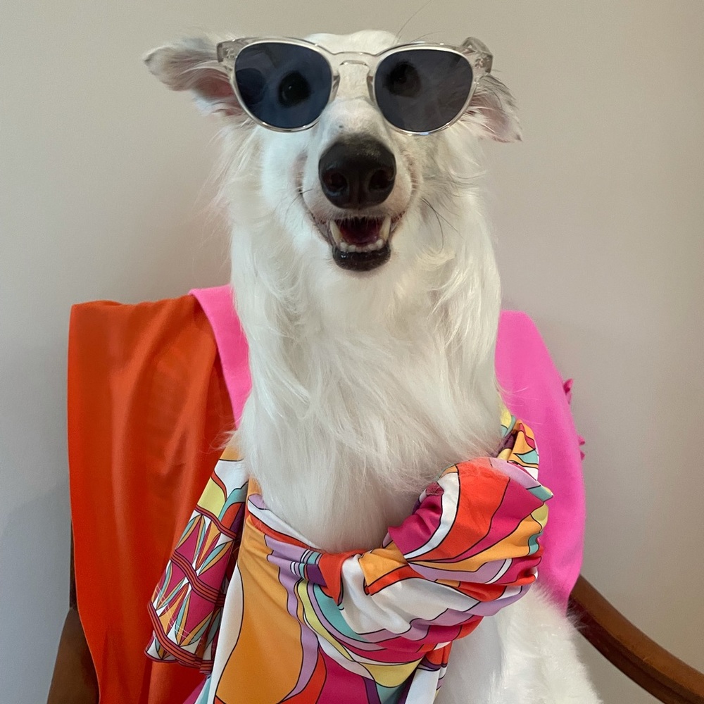 Like new Warby Parker sun glasses.